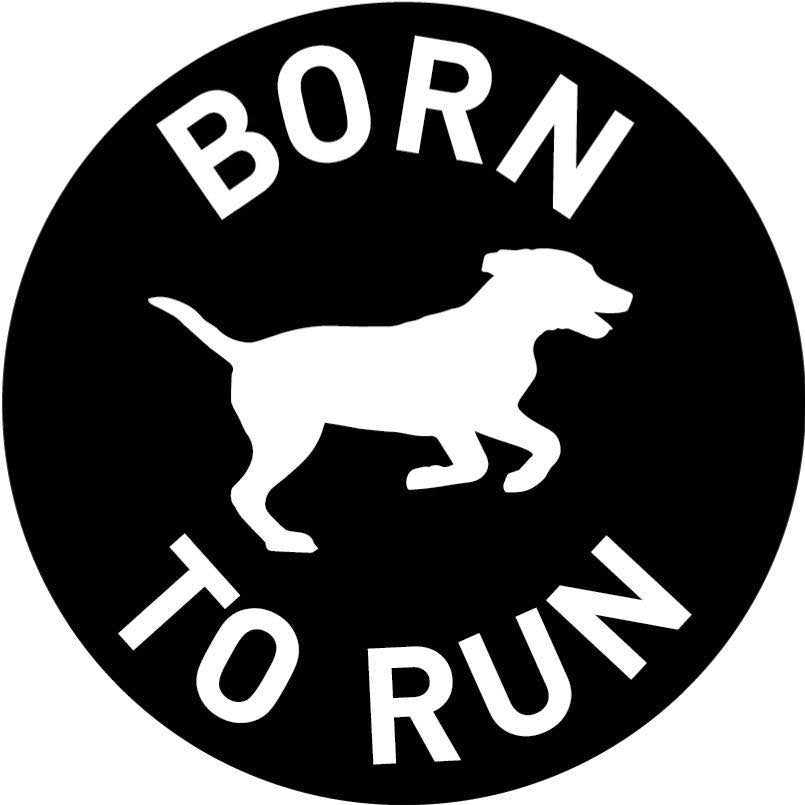 Born To Run