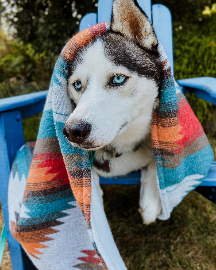 Dog sherpa blanket hotsell